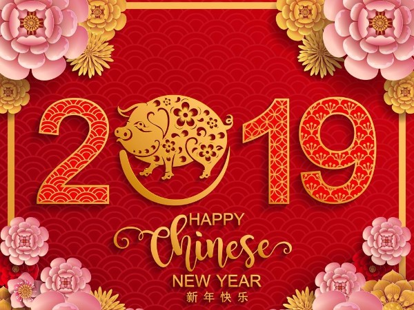 金豬送喜辭舊歲，雙志陪您慶新春！